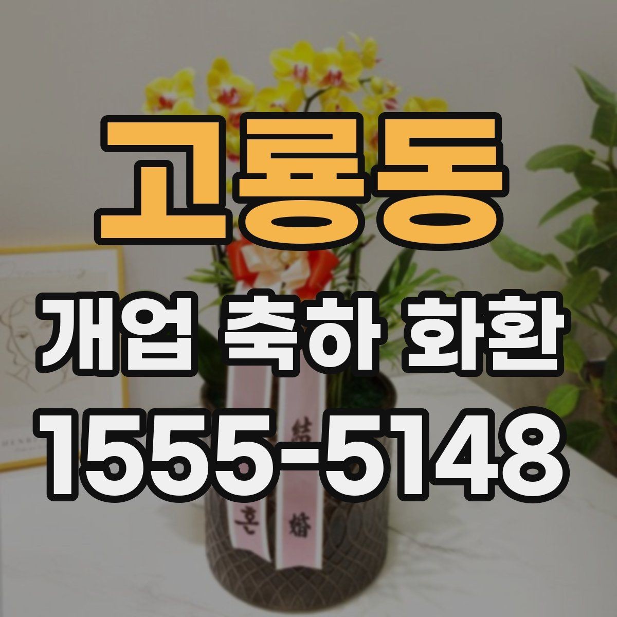 고룡동 개업 축하 화환 색상별 분위기 차이