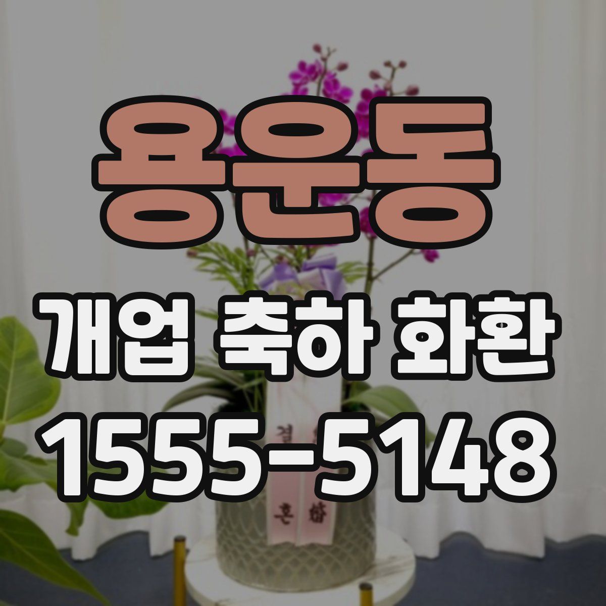 용운동 개업 축하 화환