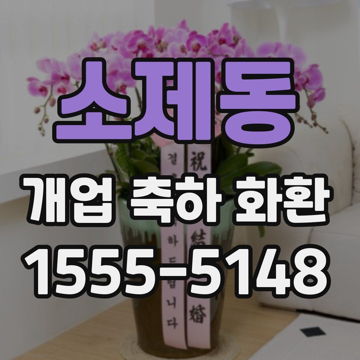 소제동 개업 축하 화환 주문 내역 확인 포인트