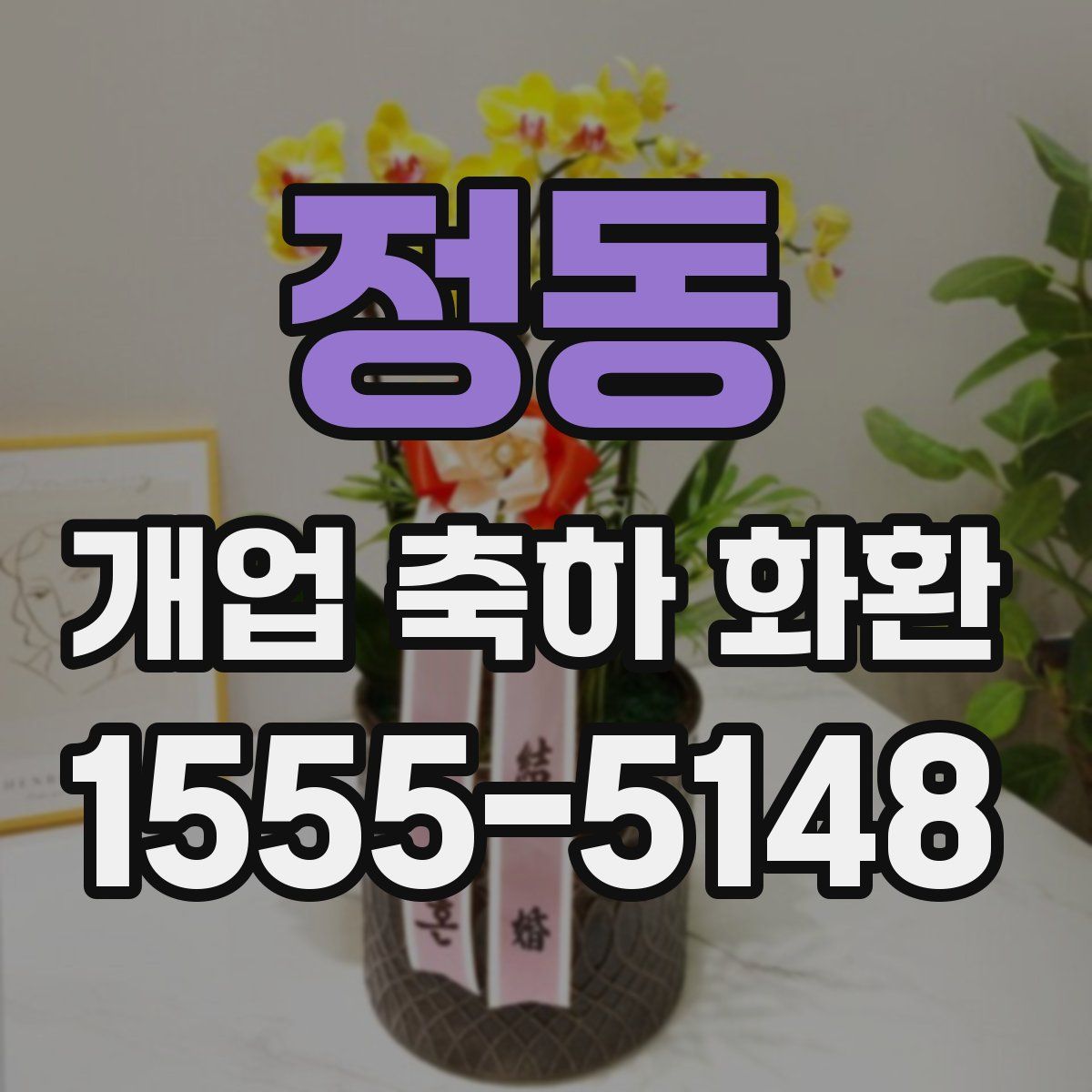 정동 개업 축하 화환