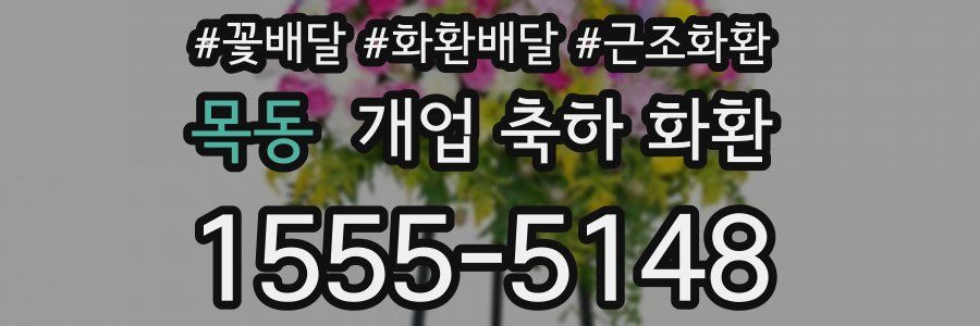 목동 개업 축하 화환
