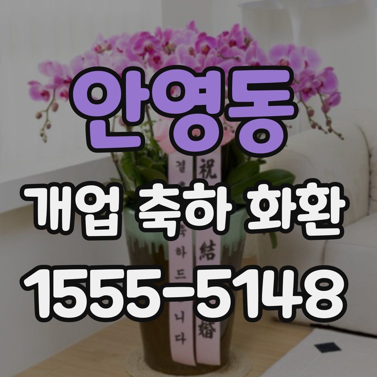 안영동 개업 축하 화환 주문 전 사진 확인이 필요한 이유