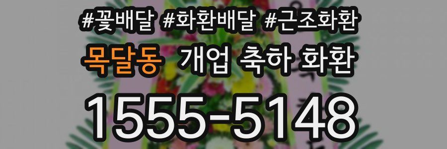 목달동 개업 축하 화환