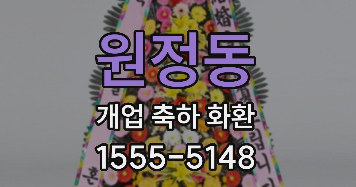 원정동 개업 축하 화환