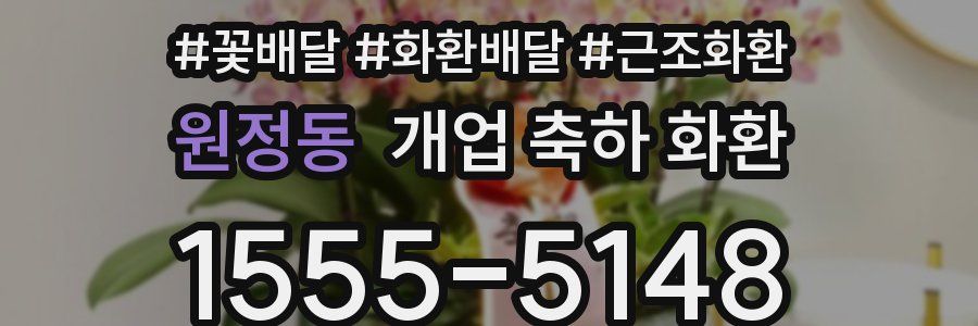 원정동 개업 축하 화환