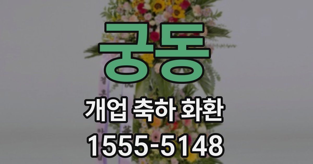 궁동 개업 축하 화환