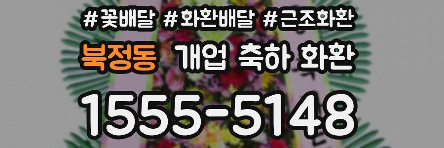북정동 개업 축하 화환