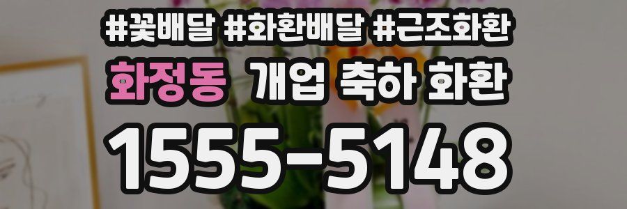 화정동 개업 축하 화환