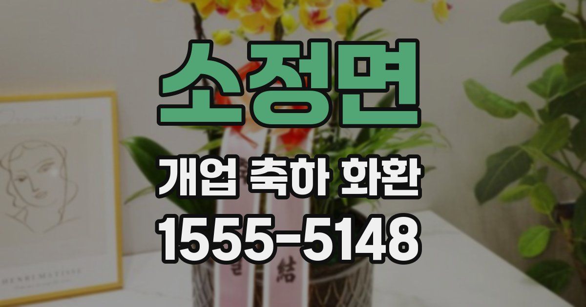 소정면 개업 축하 화환