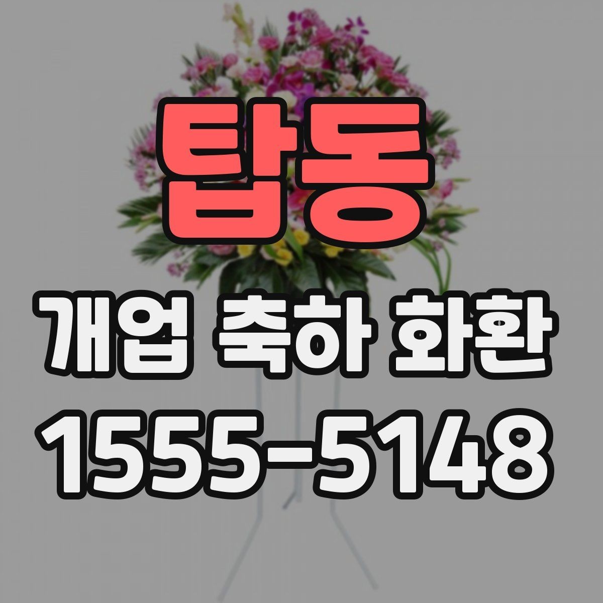 탑동 개업 축하 화환 후기 참고할 때 보는 포인트
