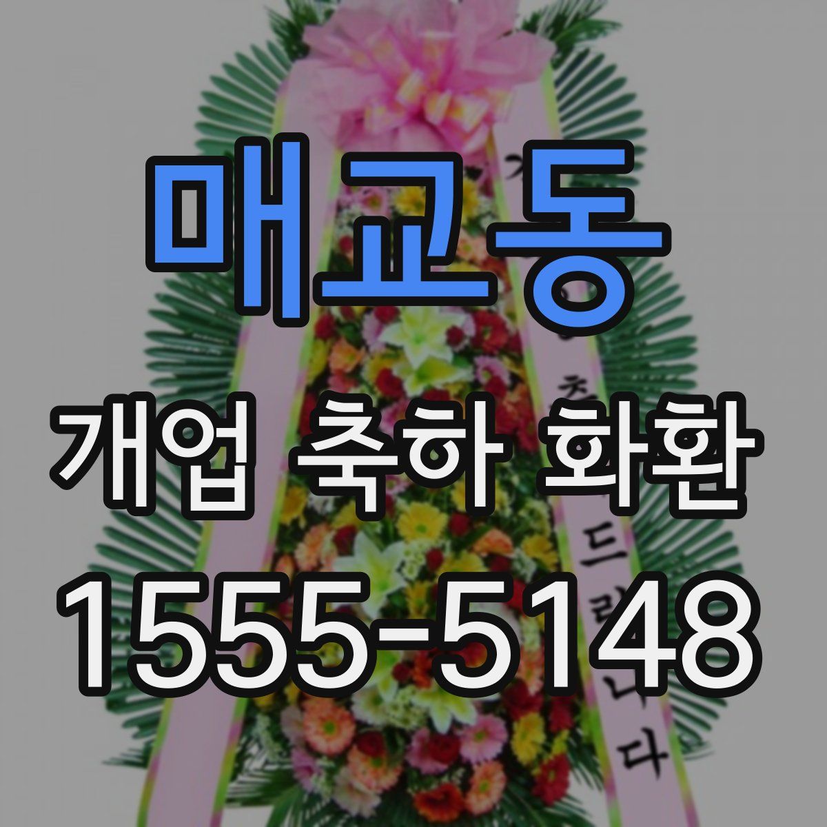 매교동 개업 축하 화환