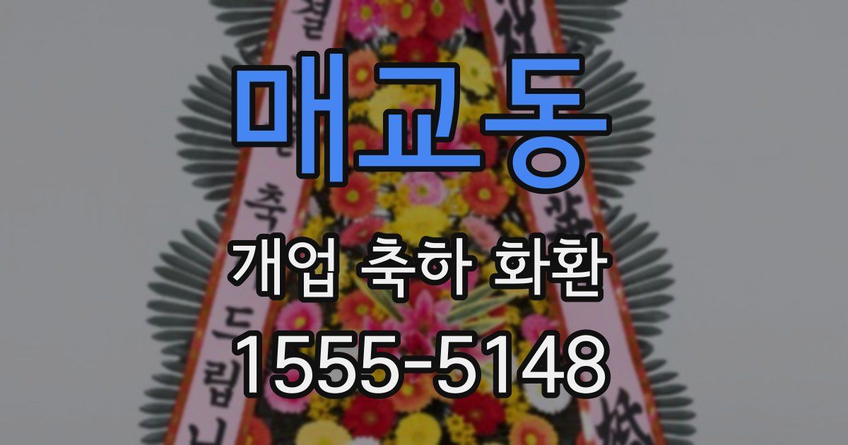 매교동 개업 축하 화환