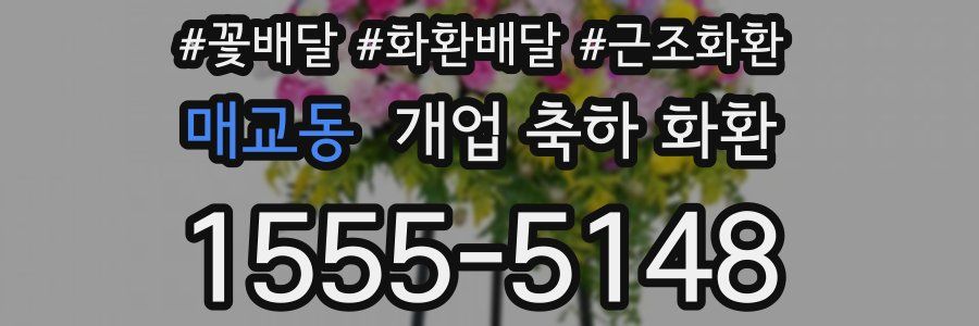 매교동 개업 축하 화환