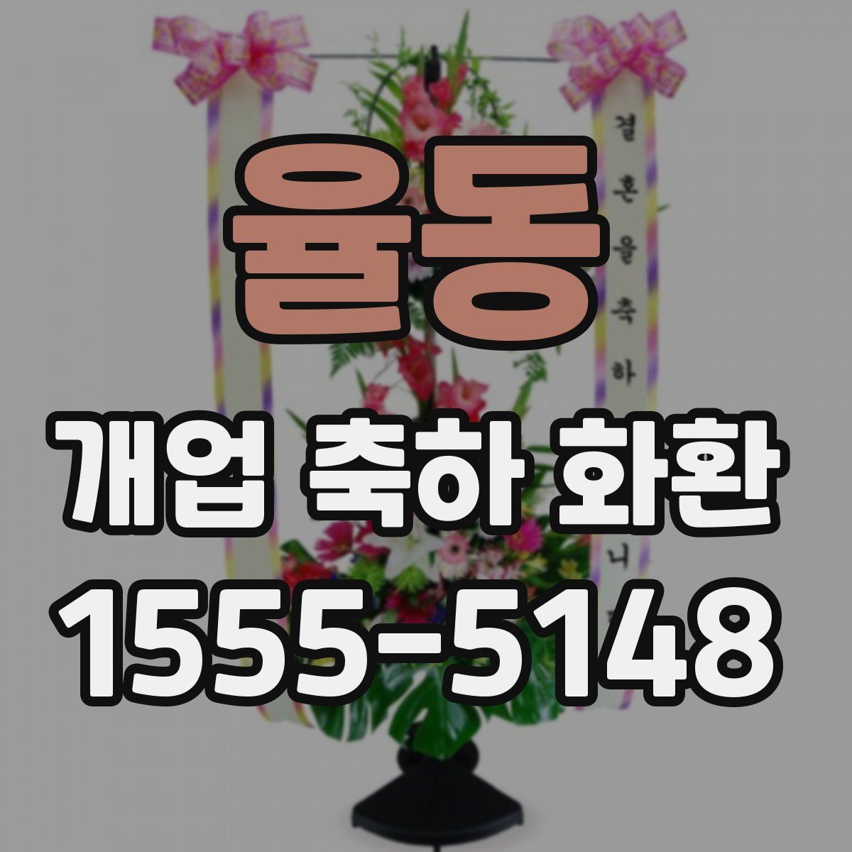 율동 개업 축하 화환