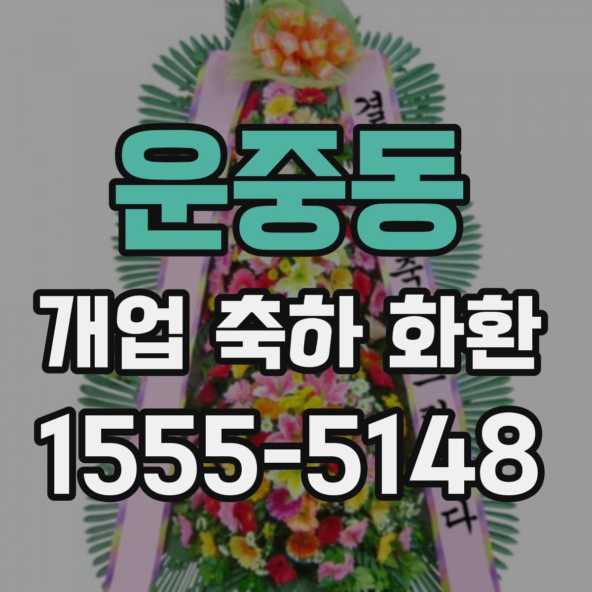 운중동 개업 축하 화환