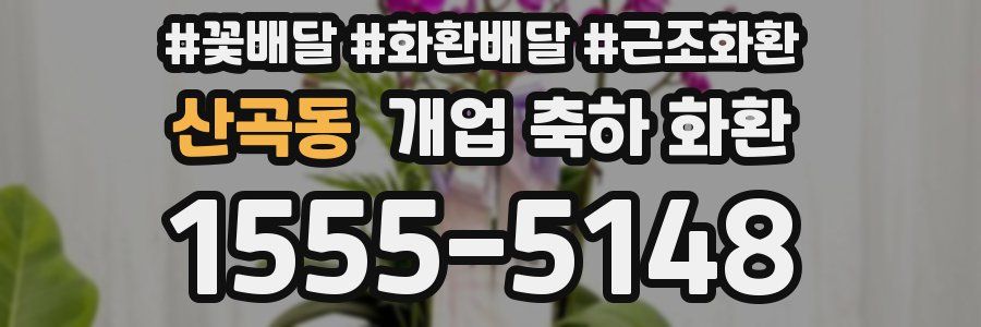 산곡동 개업 축하 화환