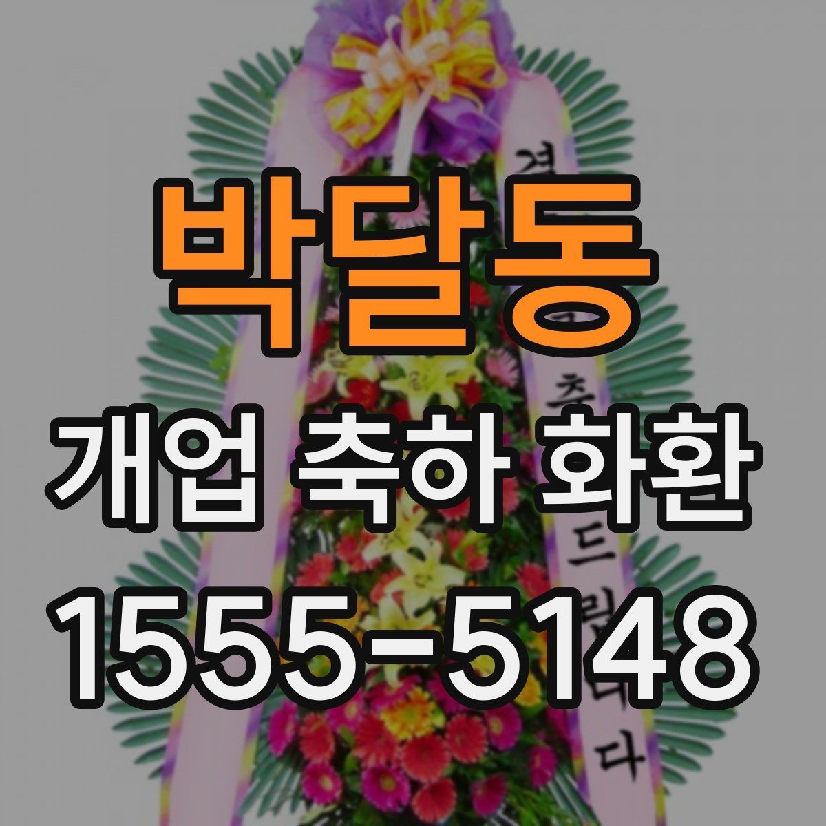 박달동 개업 축하 화환 화사한 느낌을 살리는 방법