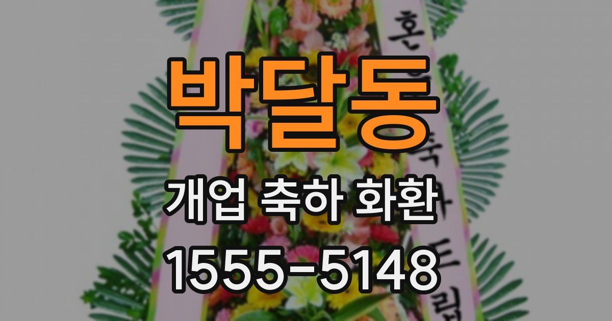박달동 개업 축하 화환