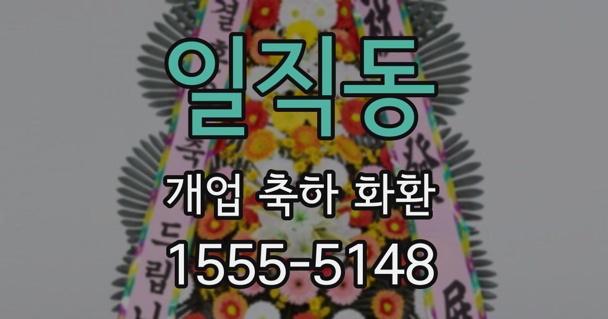 일직동 개업 축하 화환