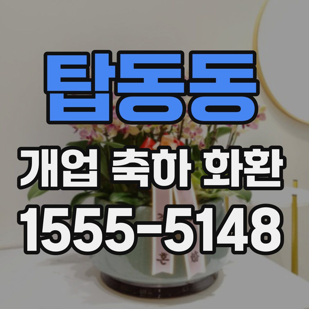 탑동동 개업 축하 화환