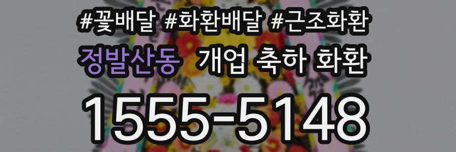 정발산동 개업 축하 화환
