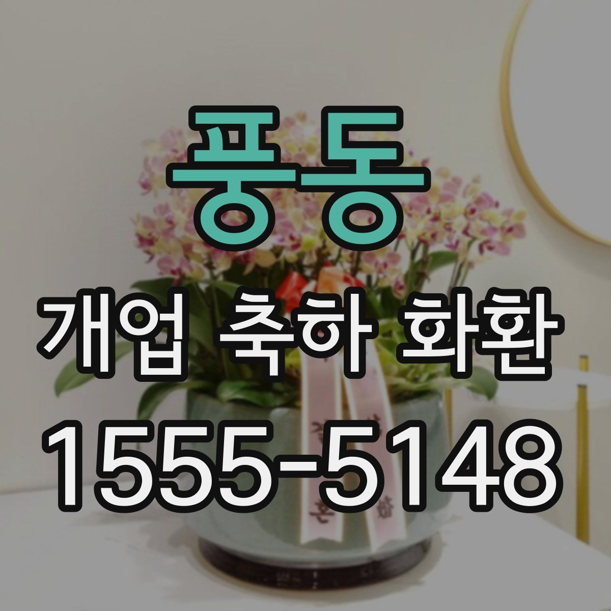 풍동 개업 축하 화환