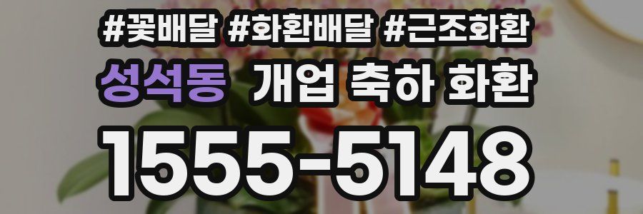 성석동 개업 축하 화환