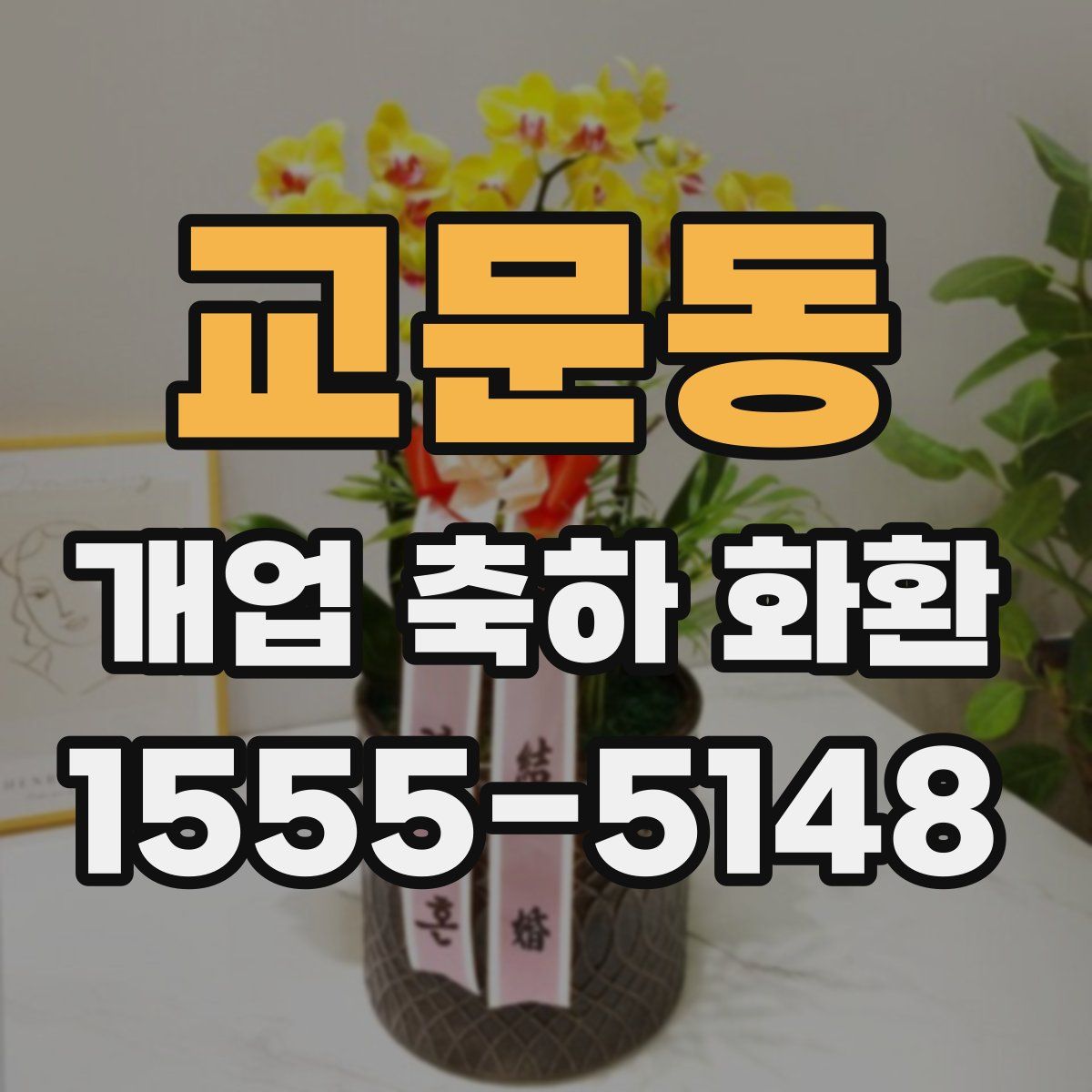 교문동 개업 축하 화환