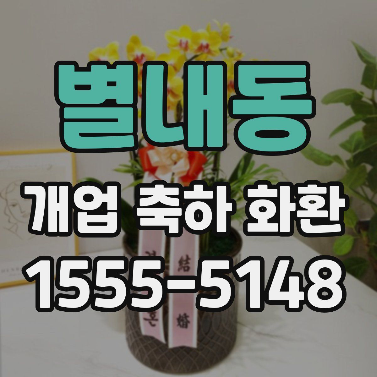 별내동 개업 축하 화환