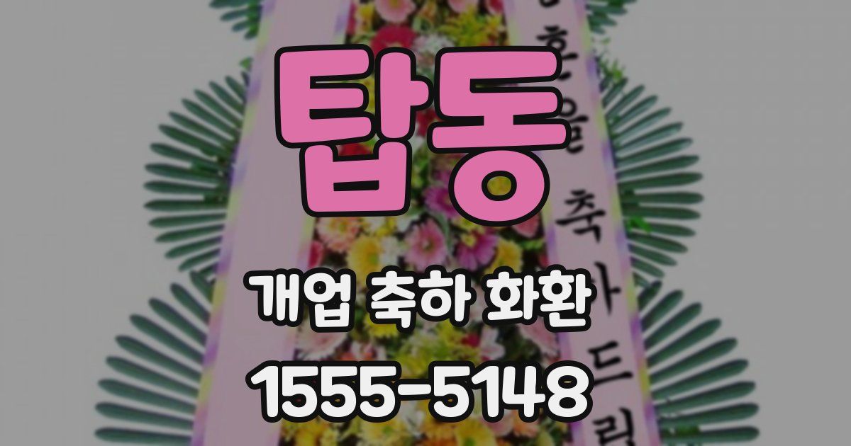 탑동 개업 축하 화환