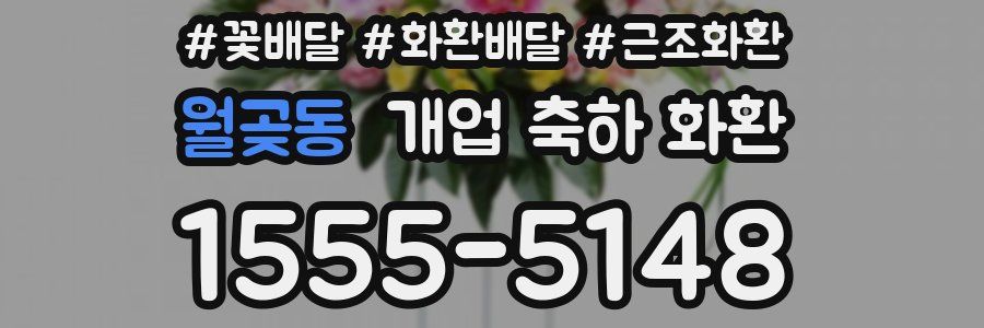 월곶동 개업 축하 화환