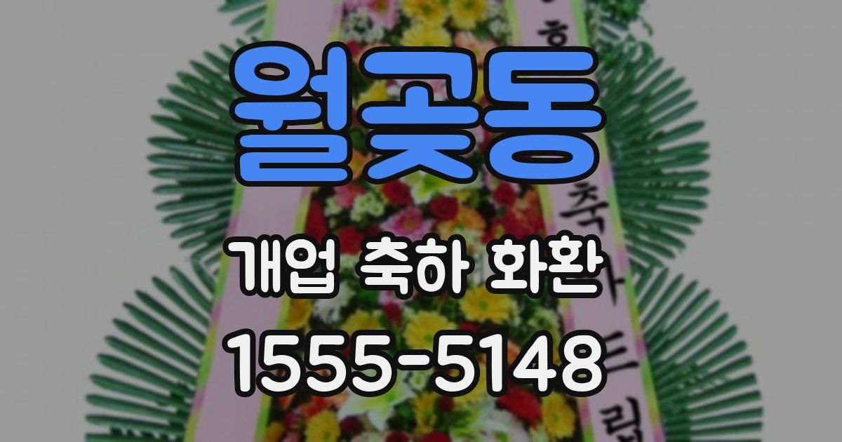 월곶동 개업 축하 화환
