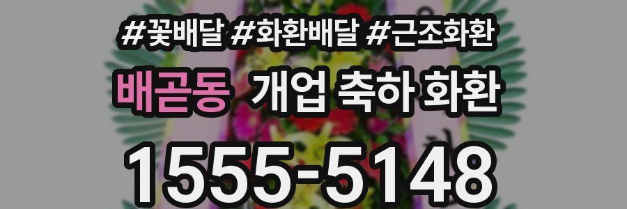 배곧동 개업 축하 화환