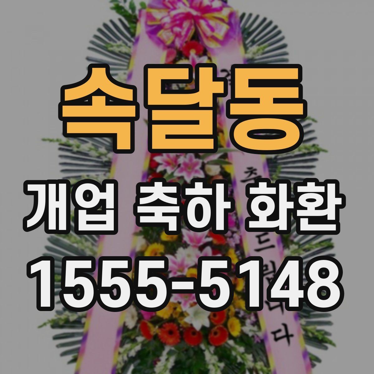 속달동 개업 축하 화환 지역별 배송 특성 알아보기
