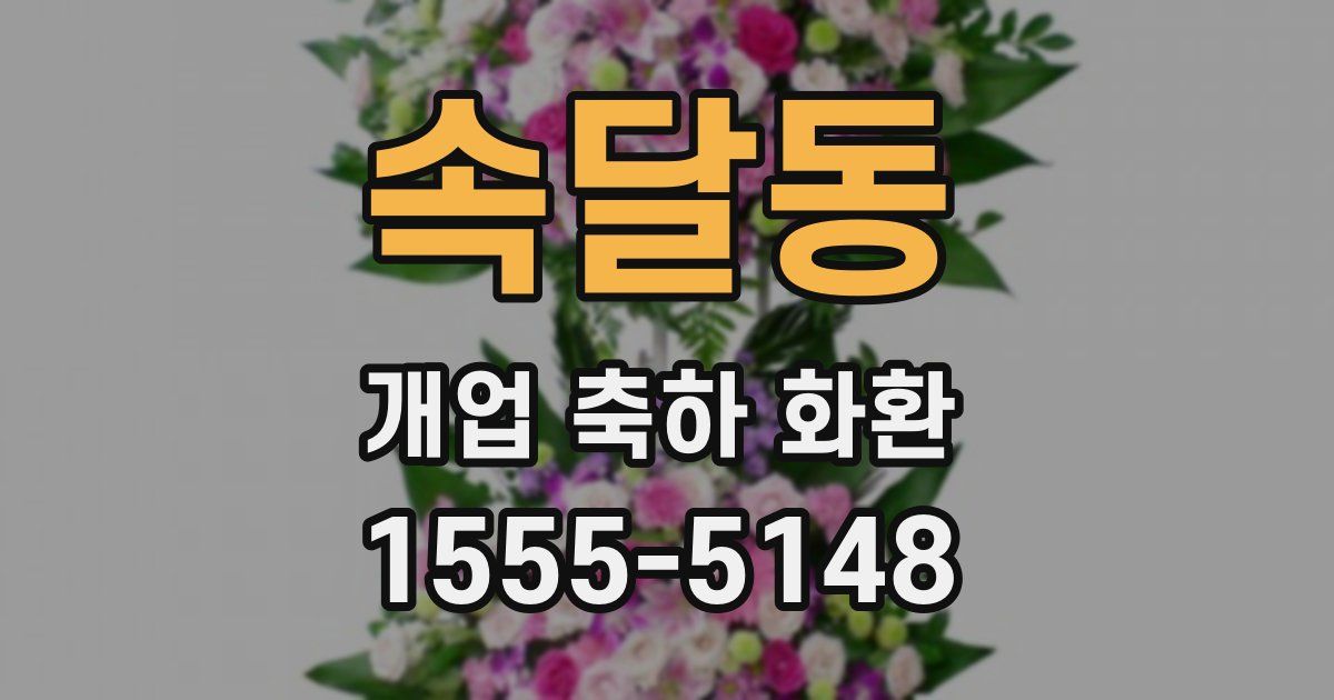 속달동 개업 축하 화환