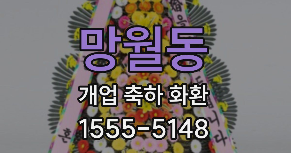 망월동 개업 축하 화환