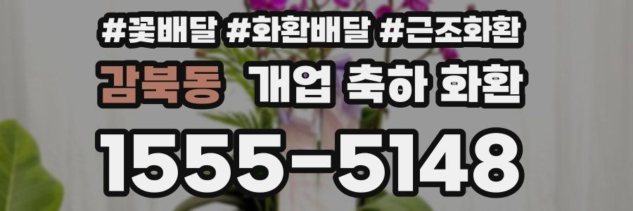 감북동 개업 축하 화환