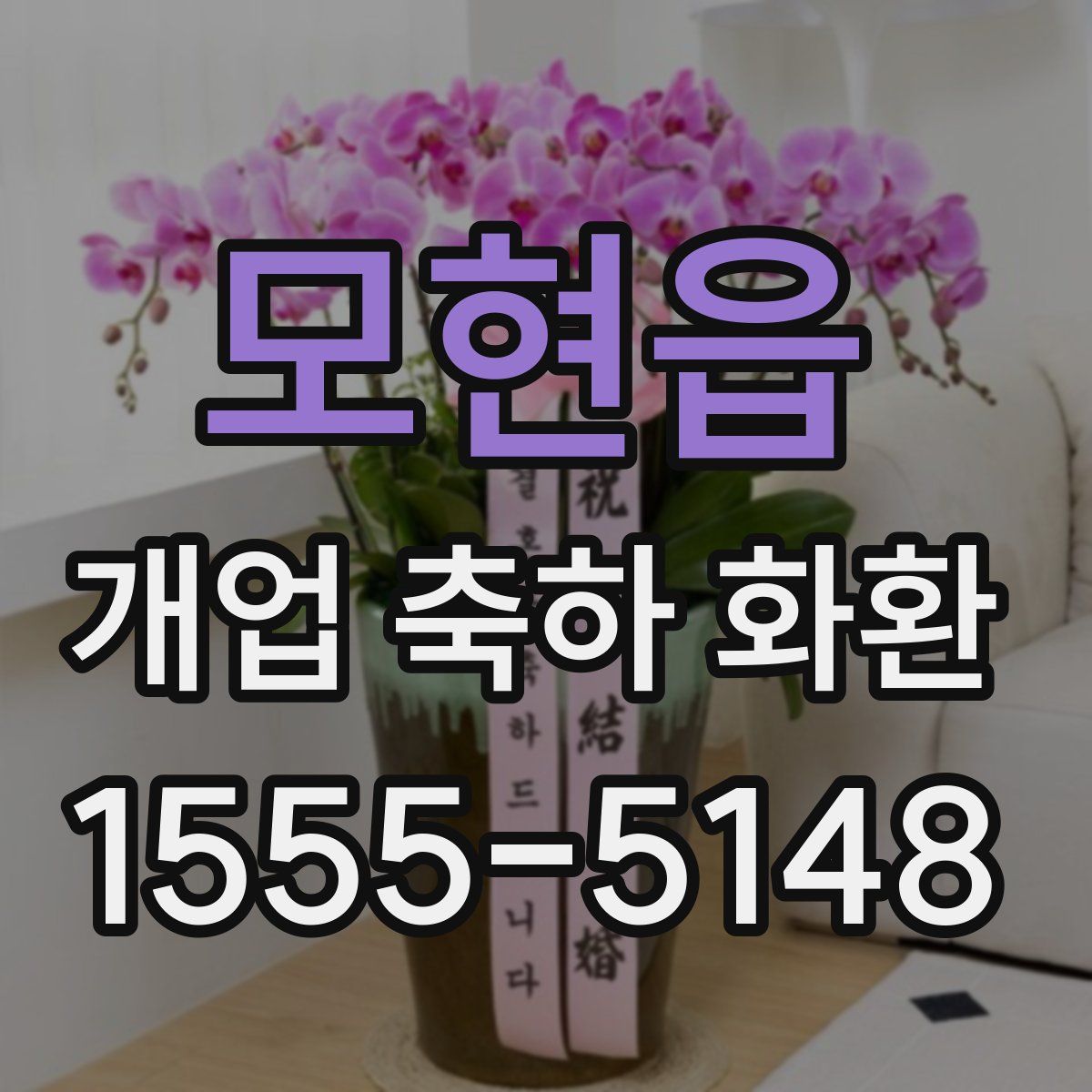모현읍 개업 축하 화환