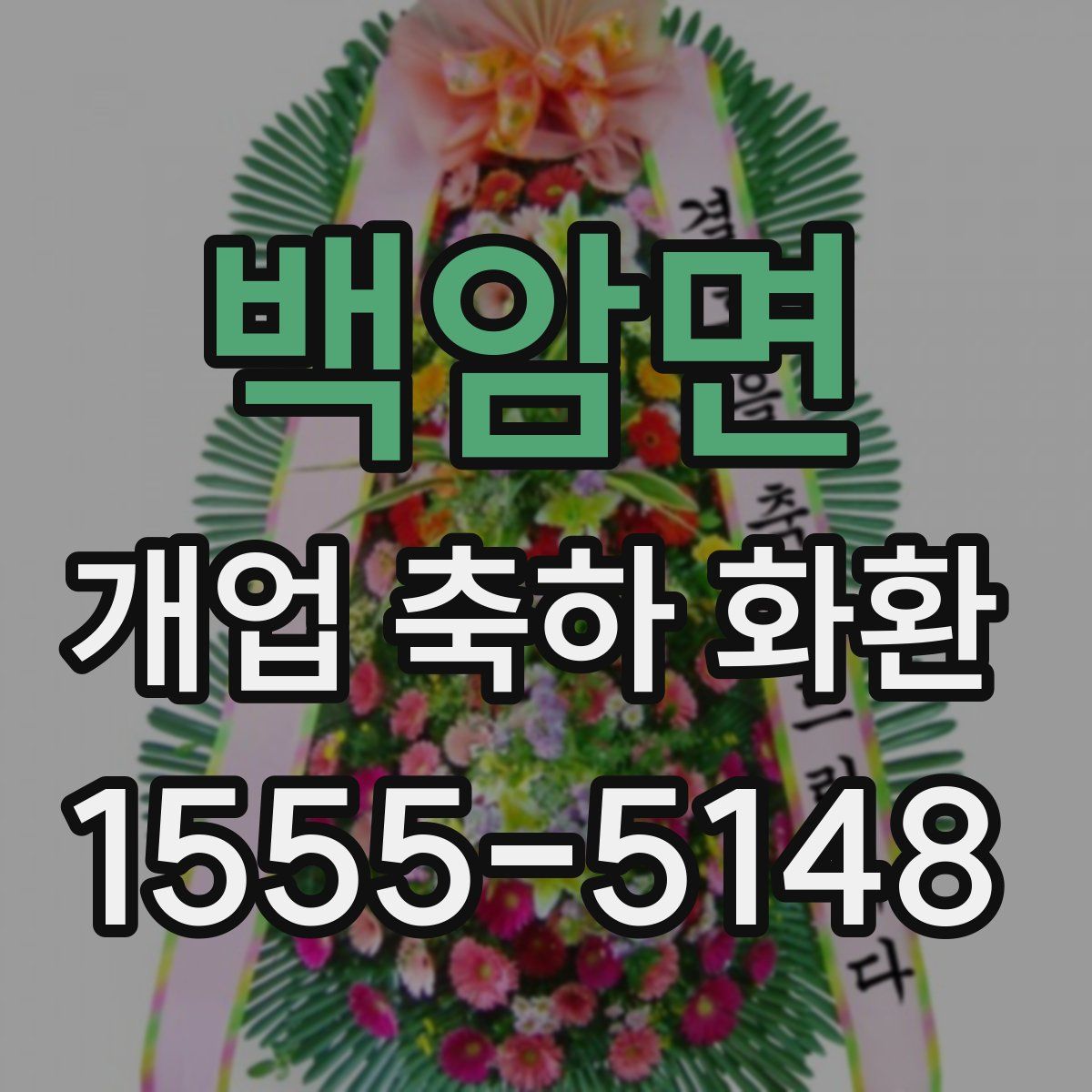 백암면 개업 축하 화환