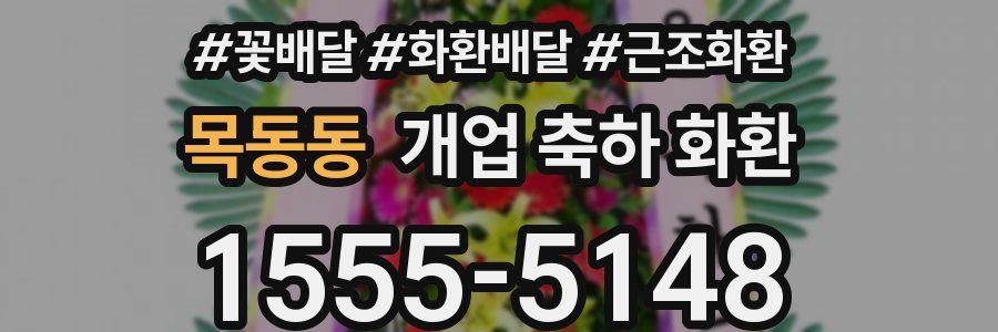 목동동 개업 축하 화환