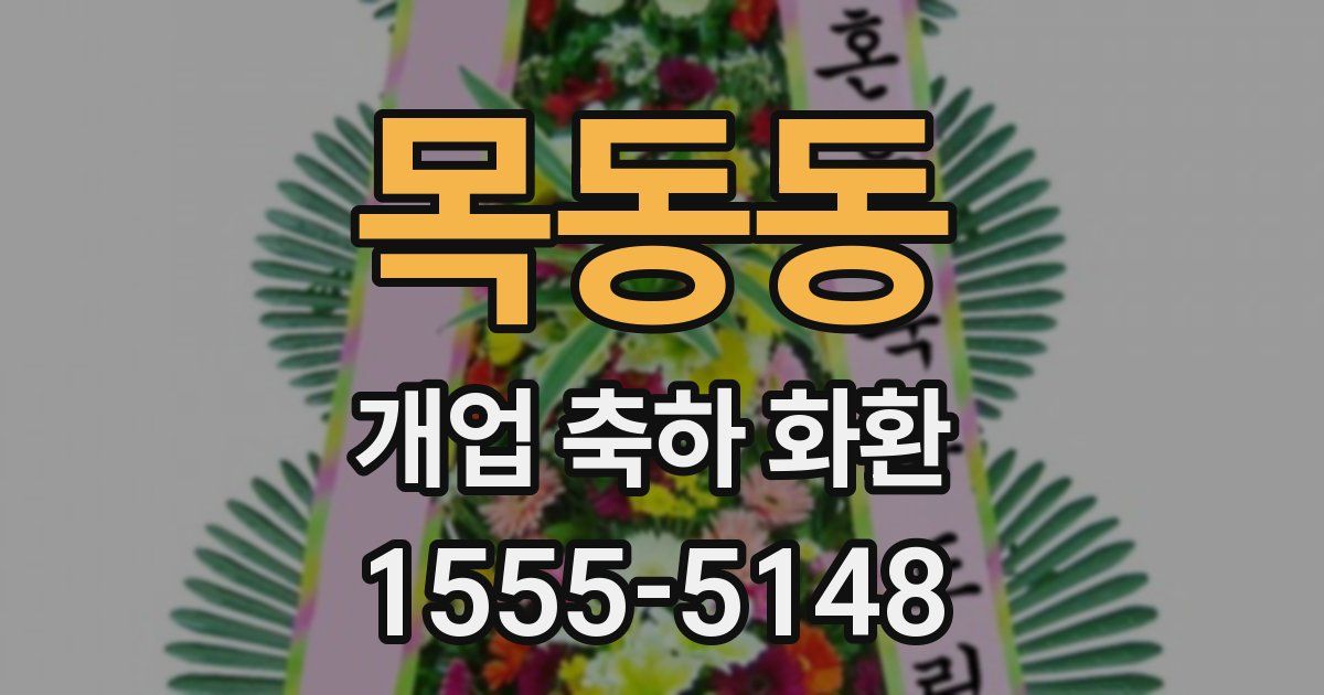 목동동 개업 축하 화환