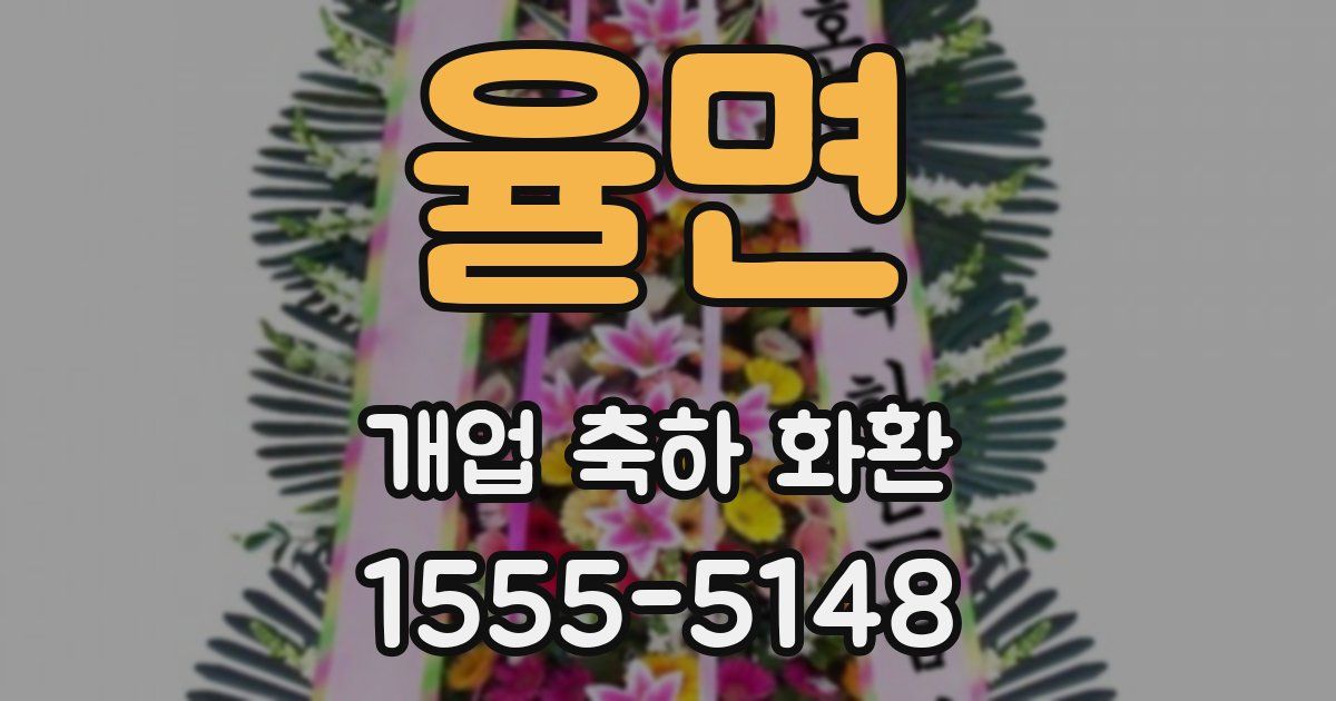 율면 개업 축하 화환