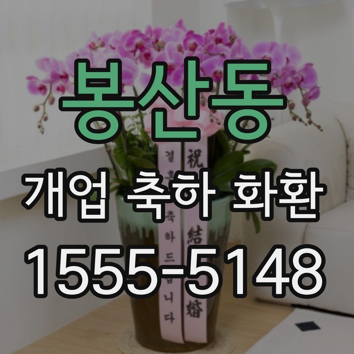 봉산동 개업 축하 화환 색상별 분위기 차이