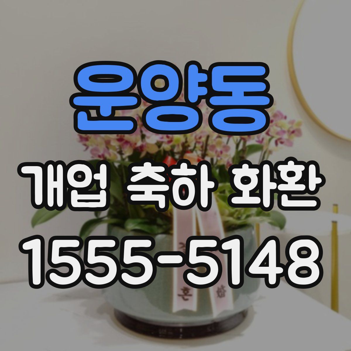 운양동 개업 축하 화환