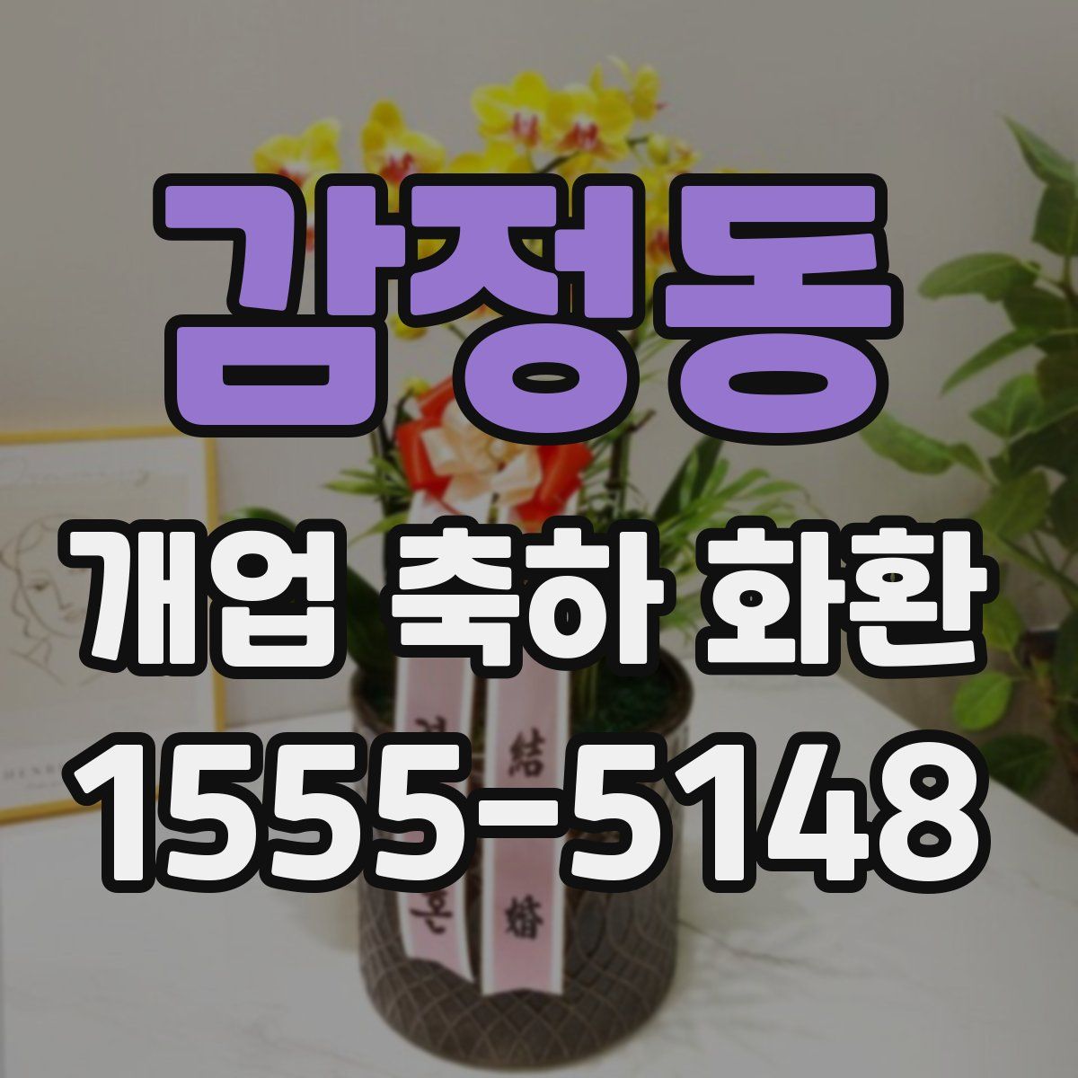 감정동 개업 축하 화환