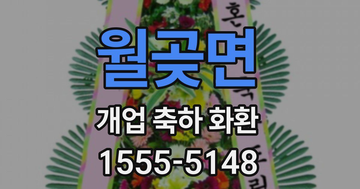 월곶면 개업 축하 화환