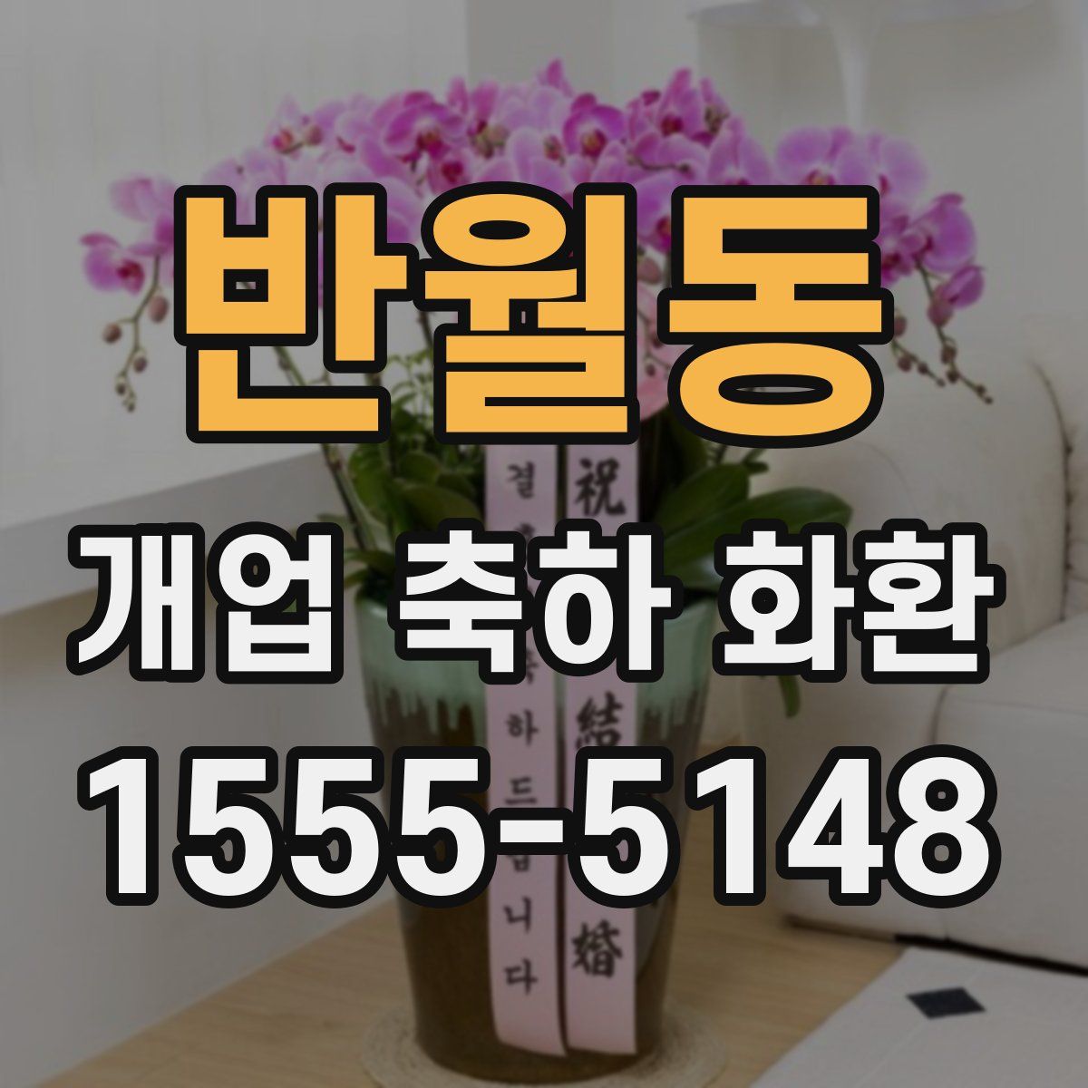 반월동 개업 축하 화환