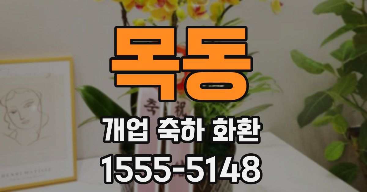 목동 개업 축하 화환