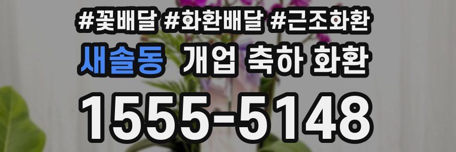 새솔동 개업 축하 화환