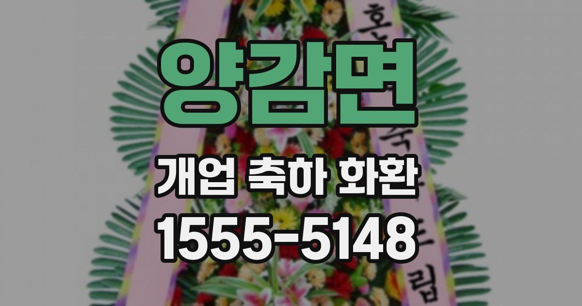 양감면 개업 축하 화환